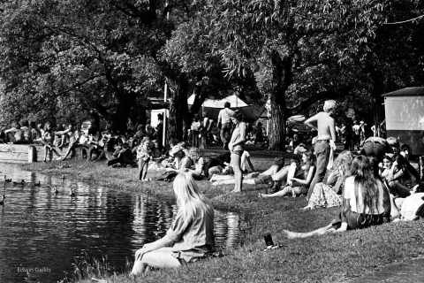 Many By The Water 1973 Mariposa Folk Festival