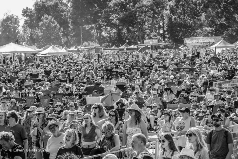 Main Stage Audience
