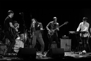 Zinnia, Paradise, Toronto 12.12.19