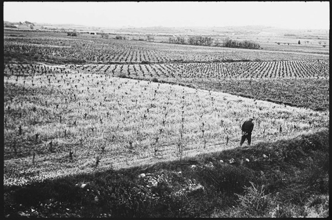 France 1976