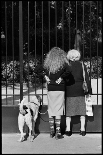 WomenDog-Looking-Thru-Gate-D68.20-Paris-1976-E.Gailits
