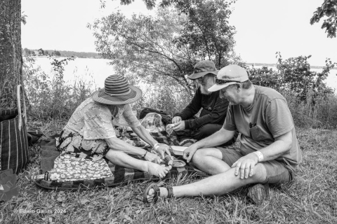 Picnic Dining