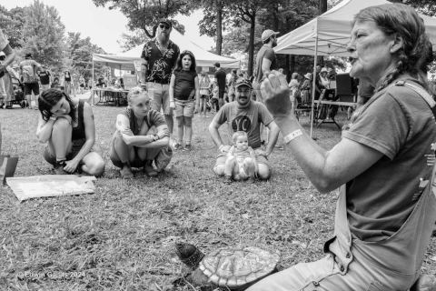 Learning about turtles