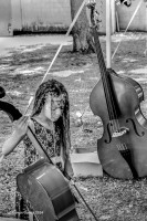 Young Cellist