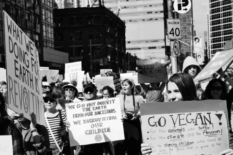 Climate Strike Toronto  09.27.19